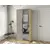 Шкаф комбинированный КТ-Ш2(з) (Тренд) Концепт (дуб золотой/луна)