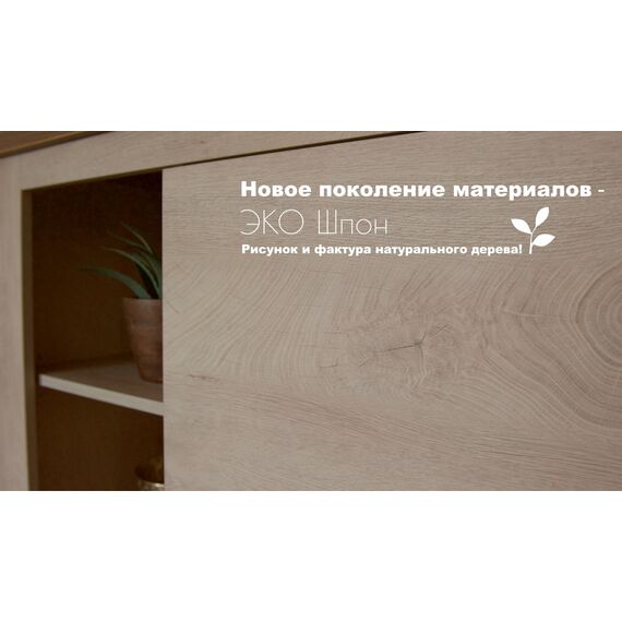 Гостиная Мэдисон (дуб эндгрейн / дуб экспрессив бронзовый), изображение 6