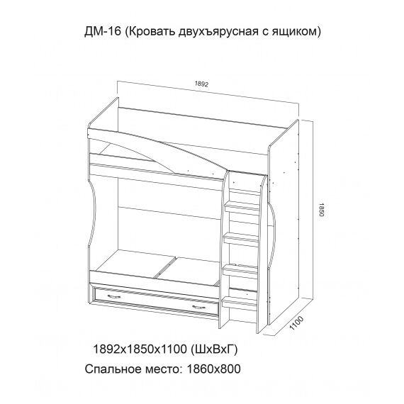 Кровать двухъярусная Вега ДМ-16 сосна карелия, изображение 2