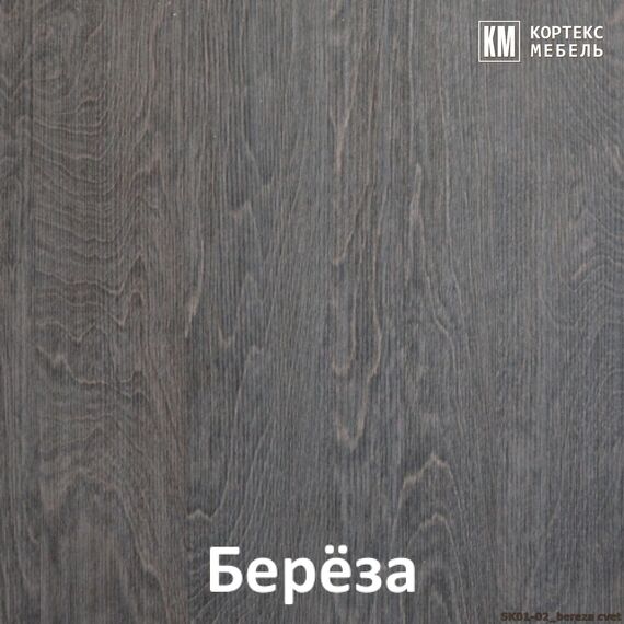 Шкаф-купе Лагуна ШК01-02 1120/2200/650 (береза), изображение 5