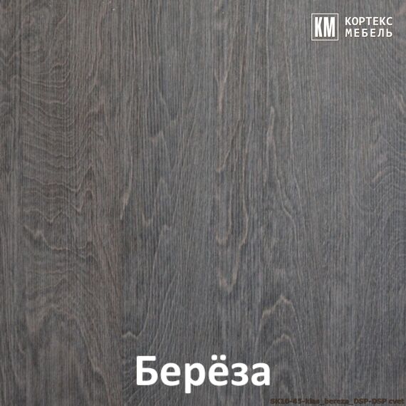 Шкаф-купе СЕНАТОР ШК10-45 фотопечать 1450/2216/450 (береза), изображение 5