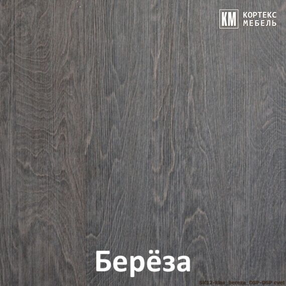 Шкаф-купе СЕНАТОР ШК12 фотопечать 2050/2216/650 (береза), изображение 5