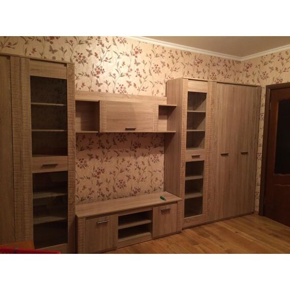 Шкаф Элана 2-х дверный 101x41x208.5 (дуб сонома), изображение 7